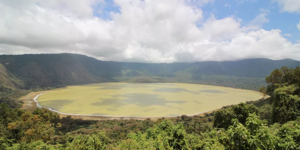 Which Parks are the Best for Tanzania Safari