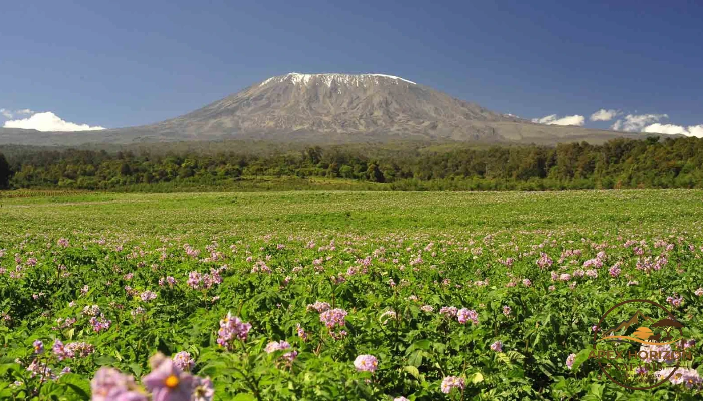 Marangu Route Climb – Mount Kilimanjaro
