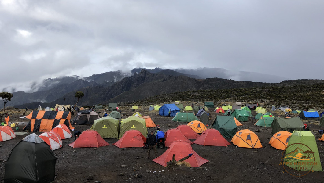 Day 2 image
