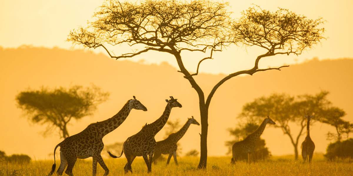 Serengeti National Park