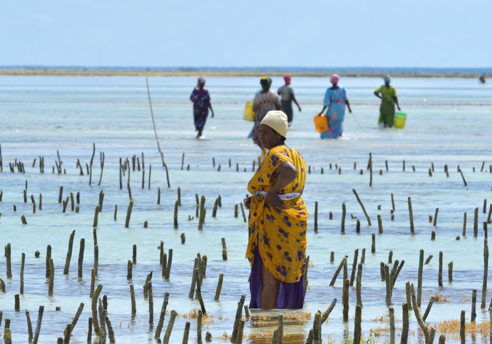 Zanzibar Beaches